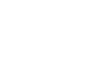 VietGuys